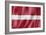 Latvian Flag-daboost-Framed Art Print