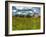 Latz-Tim Kahane-Framed Photographic Print