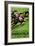 Laubi Hugo Courses Chevaux Porrentruy Year 1946-Vintage Lavoie-Framed Giclee Print