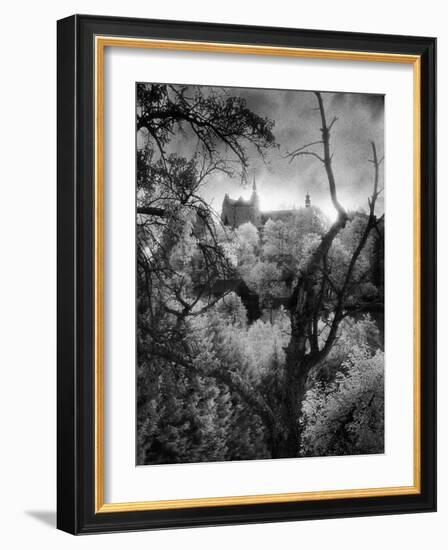 Lauenstein Castle, Bavaria, Germany-Simon Marsden-Framed Giclee Print