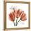 Laugh Tulips-Albert Koetsier-Framed Stretched Canvas