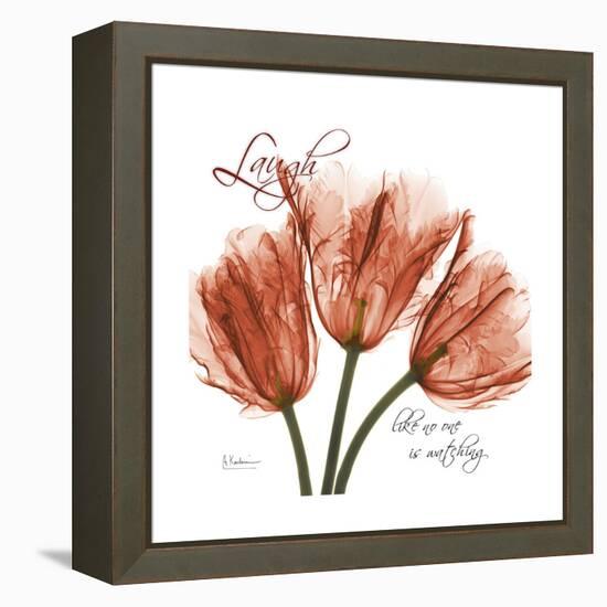 Laugh Tulips-Albert Koetsier-Framed Stretched Canvas