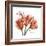 Laugh Tulips-Albert Koetsier-Framed Premium Giclee Print