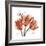 Laugh Tulips-Albert Koetsier-Framed Premium Giclee Print