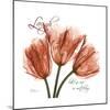 Laugh Tulips-Albert Koetsier-Mounted Premium Giclee Print