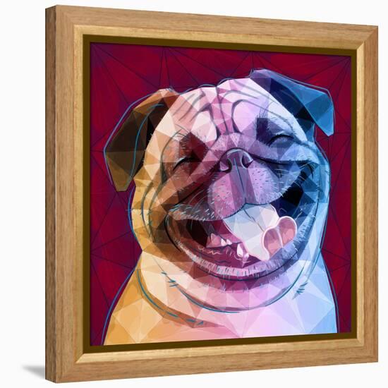 Laughing Dog-Enrico Varrasso-Framed Stretched Canvas