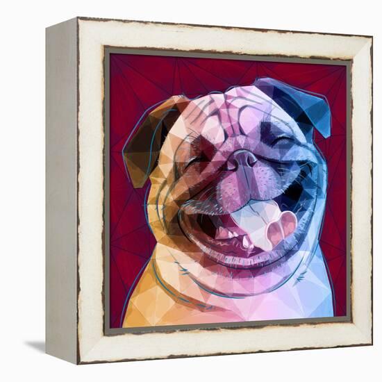 Laughing Dog-Enrico Varrasso-Framed Stretched Canvas