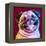 Laughing Dog-Enrico Varrasso-Framed Stretched Canvas