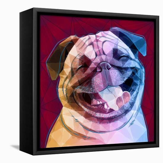 Laughing Dog-Enrico Varrasso-Framed Stretched Canvas
