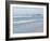 Laughing Gulls Along Crescent Beach, Sarasota, Florida, USA-Bernard Friel-Framed Photographic Print