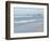 Laughing Gulls Along Crescent Beach, Sarasota, Florida, USA-Bernard Friel-Framed Photographic Print