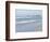 Laughing Gulls Along Crescent Beach, Sarasota, Florida, USA-Bernard Friel-Framed Photographic Print