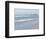 Laughing Gulls Along Crescent Beach, Sarasota, Florida, USA-Bernard Friel-Framed Photographic Print