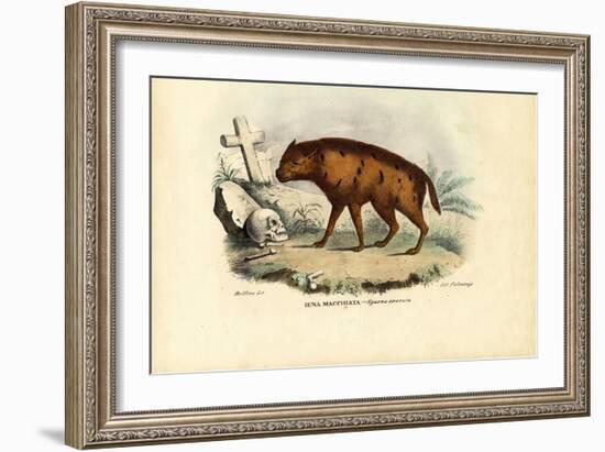 Laughing Hyena, 1863-79-Raimundo Petraroja-Framed Giclee Print