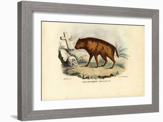 Laughing Hyena, 1863-79-Raimundo Petraroja-Framed Giclee Print