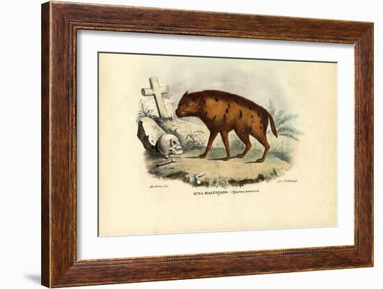 Laughing Hyena, 1863-79-Raimundo Petraroja-Framed Giclee Print