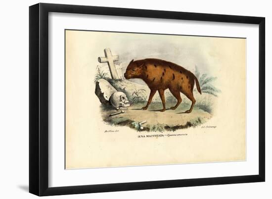 Laughing Hyena, 1863-79-Raimundo Petraroja-Framed Giclee Print