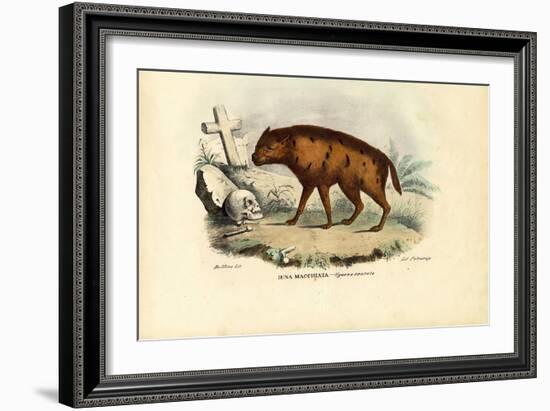 Laughing Hyena, 1863-79-Raimundo Petraroja-Framed Giclee Print