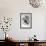 Laughing Kookaburra (Dacelo Novaeguineae)-John Gould-Framed Giclee Print displayed on a wall