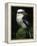 Laughing Kookaburra Perched on Log-Martin Harvey-Framed Premier Image Canvas