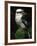 Laughing Kookaburra Perched on Log-Martin Harvey-Framed Photographic Print