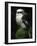 Laughing Kookaburra Perched on Log-Martin Harvey-Framed Photographic Print