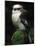 Laughing Kookaburra Perched on Log-Martin Harvey-Mounted Photographic Print