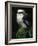 Laughing Kookaburra Perched on Log-Martin Harvey-Framed Photographic Print