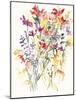 Laughing Lupines 1-Karin Johannesson-Mounted Art Print