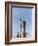 Launch View of the Gemini-Titan 3 Mission, Cape Canaveral, Florida-Stocktrek Images-Framed Photographic Print