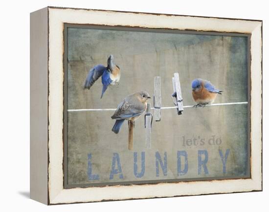 Laundry Day Bluebirds-Jai Johnson-Framed Premier Image Canvas