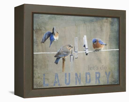 Laundry Day Bluebirds-Jai Johnson-Framed Premier Image Canvas