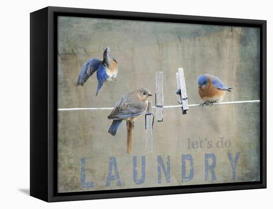 Laundry Day Bluebirds-Jai Johnson-Framed Premier Image Canvas