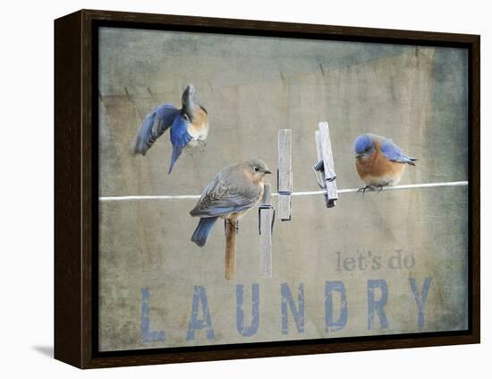 Laundry Day Bluebirds-Jai Johnson-Framed Premier Image Canvas