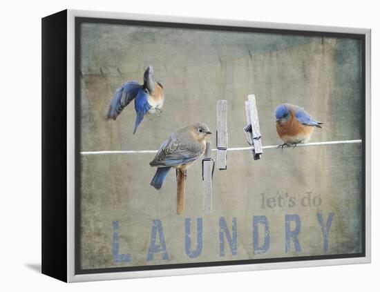 Laundry Day Bluebirds-Jai Johnson-Framed Premier Image Canvas