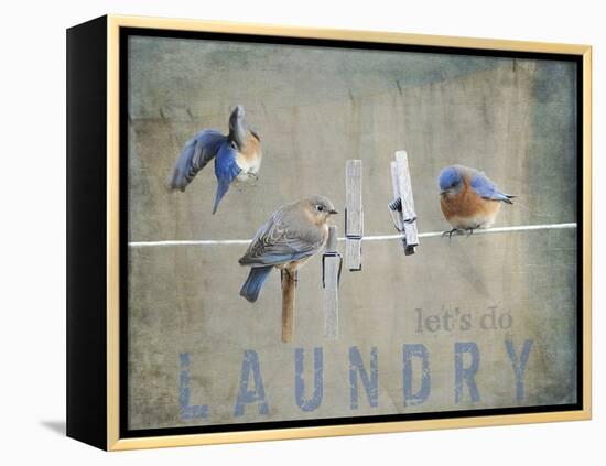 Laundry Day Bluebirds-Jai Johnson-Framed Premier Image Canvas