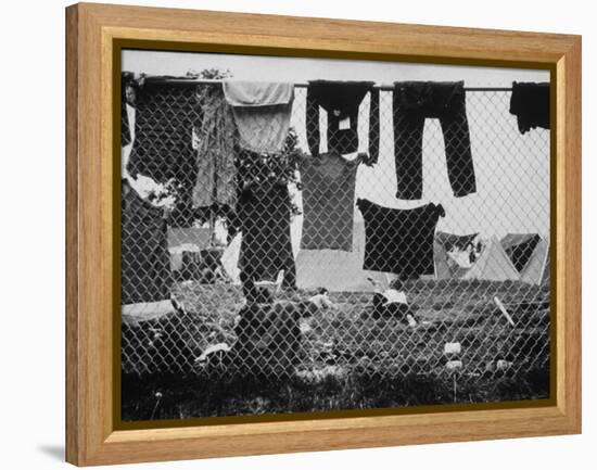 Laundry Hanging on Fence at Woodstock Music Festival-Bill Eppridge-Framed Premier Image Canvas