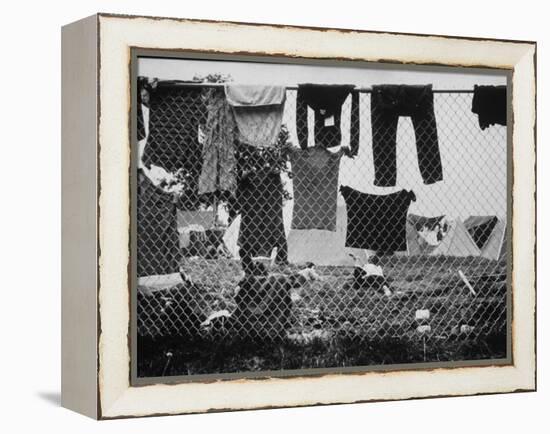 Laundry Hanging on Fence at Woodstock Music Festival-Bill Eppridge-Framed Premier Image Canvas