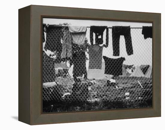 Laundry Hanging on Fence at Woodstock Music Festival-Bill Eppridge-Framed Premier Image Canvas