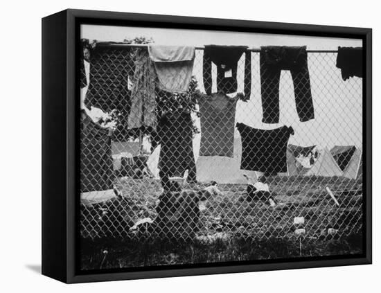 Laundry Hanging on Fence at Woodstock Music Festival-Bill Eppridge-Framed Premier Image Canvas