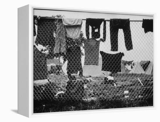 Laundry Hanging on Fence at Woodstock Music Festival-Bill Eppridge-Framed Premier Image Canvas