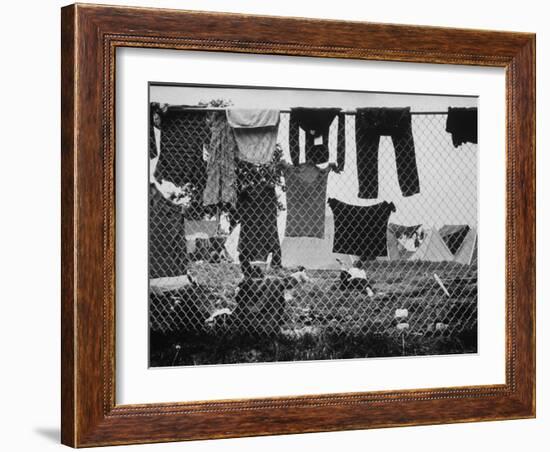 Laundry Hanging on Fence at Woodstock Music Festival-Bill Eppridge-Framed Photographic Print