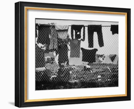 Laundry Hanging on Fence at Woodstock Music Festival-Bill Eppridge-Framed Photographic Print