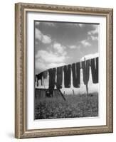 Laundry Hanging Out to Dry-Nina Leen-Framed Photographic Print