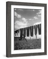 Laundry Hanging Out to Dry-Nina Leen-Framed Photographic Print