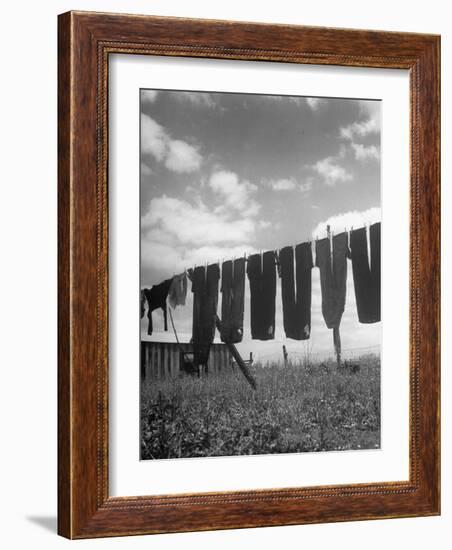 Laundry Hanging Out to Dry-Nina Leen-Framed Photographic Print