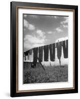 Laundry Hanging Out to Dry-Nina Leen-Framed Photographic Print