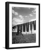 Laundry Hanging Out to Dry-Nina Leen-Framed Photographic Print