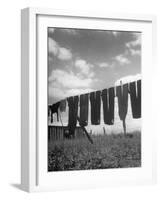 Laundry Hanging Out to Dry-Nina Leen-Framed Photographic Print