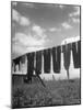 Laundry Hanging Out to Dry-Nina Leen-Mounted Photographic Print